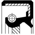 Corteco Wellendichtring, Differential 19035066B