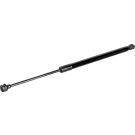 FEBI BILSTEIN 174352 Gasfeder, Koffer-/Laderaum FEBI BILSTEIN 174352 Gasfeder, Koffer-/Laderaum