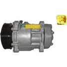 Mahle Kompressor, Klimaanlage BEHR ACP 29 000S