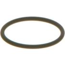 BOSCH Dichtring F 00V C38 002