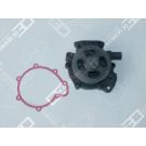 OE Germany Wasserpumpe, Motorkühlung 02 2000 082604
