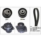 INA Wasserpumpe + Zahnriemensatz 530 0055 30