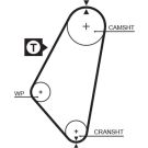 Gates Zahnriemen PowerGrip™ 5083