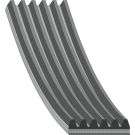 FEBI BILSTEIN 37539 Keilrippenriemen