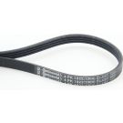 ContiTech Keilrippenriemen 4PK1022 ELAST