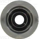 Victor Reinz Dichtring, Ventilschaft 70-35549-00