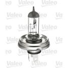Glühlampe, Fernscheinwerfer 032001 Glühlampe, Fernscheinwerfer 032001