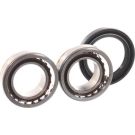 SKF Radlagersatz VKBA 1333