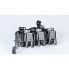 BorgWarner (BERU) Zündspule ZS555