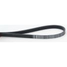 ContiTech Keilrippenriemen 4PK922 ELAST