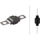 Hella Sicherung 8JS 742 901-001