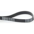 ContiTech Keilrippenriemen 6PK1560