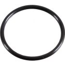 Metzger Dichtring 2430048