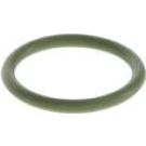 BOSCH Dichtring F 00N 200 048