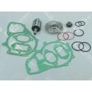 OE Germany Reparatursatz, Wasserpumpe 02 2010 250000