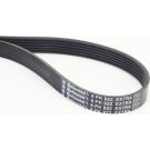 ContiTech Keilrippenriemen 6PK922 EXTRA