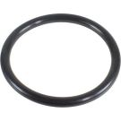 Metzger Dichtring 2430113