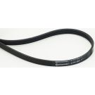 CONTITECH 4PK800 Keilrippenriemen 800mm, 4 Rippen