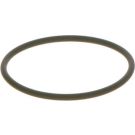 BOSCH Dichtring F 00N 202 130