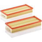 MANN-FILTER C 3698/3-2 Luftfilter