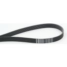 ContiTech Keilrippenriemen 7PK2061