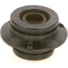 BOSCH Regelventil, Kraftstoffmenge (Common-Rail-System) F 01M 101 214