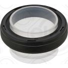 Elring Dichtring 155.560