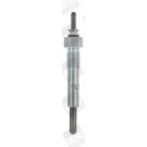 BorgWarner (BERU) Glühkerze GN103