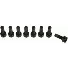 Sachs Schraubensatz, Schwungrad 1874 000 066