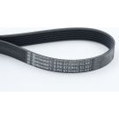 ContiTech Keilrippenriemen 6PK873 ELAST