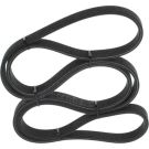 BOSCH Keilrippenriemen 1 987 946 216