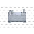 NRF Ölkühler, Automatikgetriebe 31362