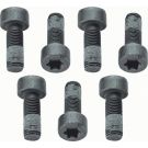 Sachs Schraubensatz, Schwungrad 1874 000 040