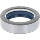 Dichtring 12018848B