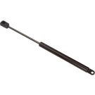 Maxgear Gasfeder, Heckscheibe 12-1511