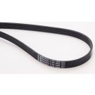 ContiTech Keilrippenriemen 6PK2404