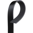 Keilrippenriemen 10PK1460HD