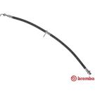 Bremsschlauch T 11 014