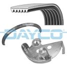 Dayco Keilrippenriemensatz PVE002