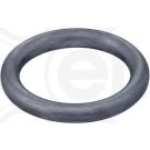 Dichtring 569.390