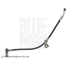 Blue Print Bremsschlauch ADBP530029