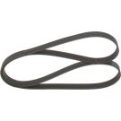 BOSCH Keilrippenriemen 1 987 948 442