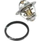 Thermostat, Kühlmittel 725124