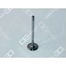 OE Germany Einlassventil 06 0520 XF9500