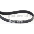 Keilrippenriemen 6PK1306