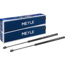 Meyle 2 x MEYLE Gasfeder, Koffer-/Laderaum MEYLE-ORIGINAL: True to OE 140 910 0064 Meyle 2 x MEYLE Gasfeder, Koffer-/Laderaum MEYLE-ORIGINAL: True to OE 140 910 0064