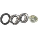 SKF Radlagersatz VKBA 3666
