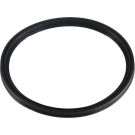 Metzger Dichtring 2430049