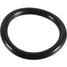 Metzger Dichtring 2430108