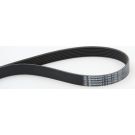 ContiTech Keilrippenriemen 7PK1104